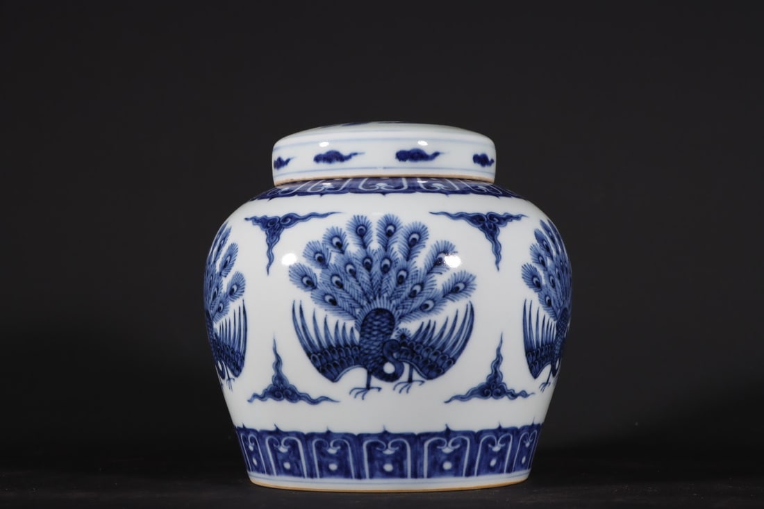 A Exquisite Blue and White Phoenix Pattern Jar - 2