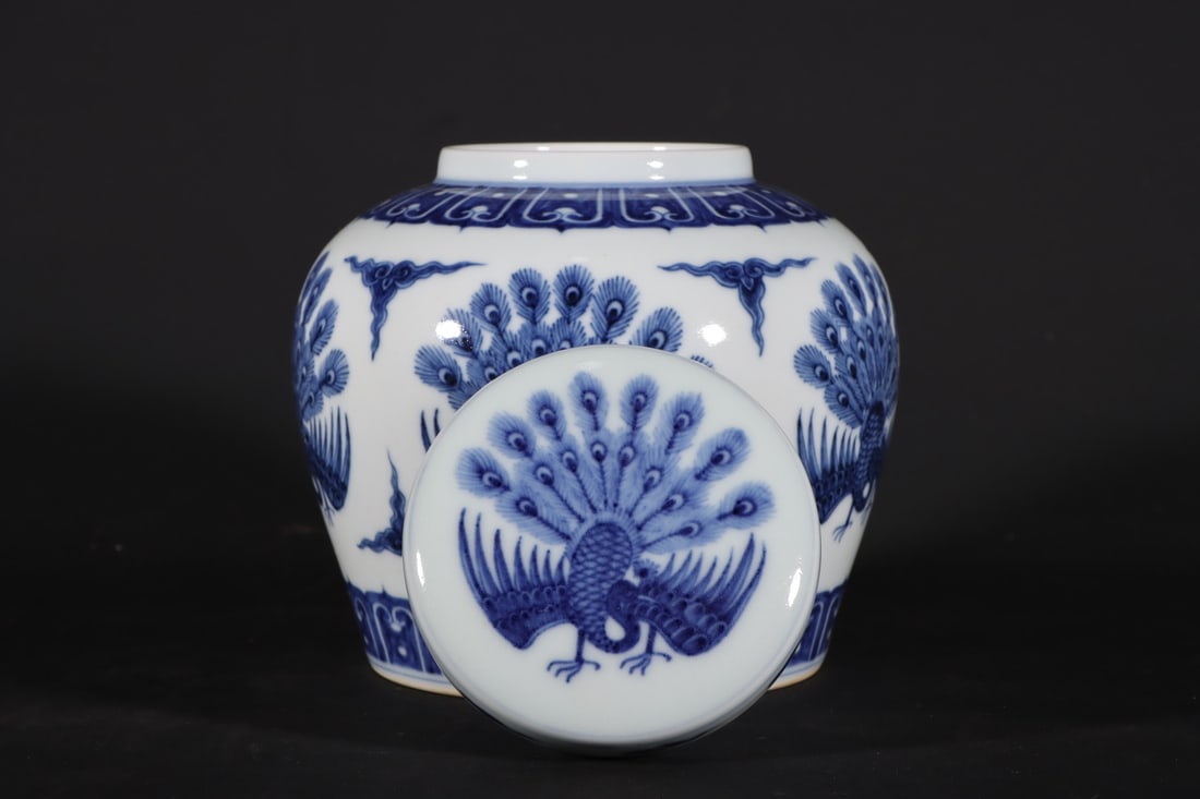 A Exquisite Blue and White Phoenix Pattern Jar - 6
