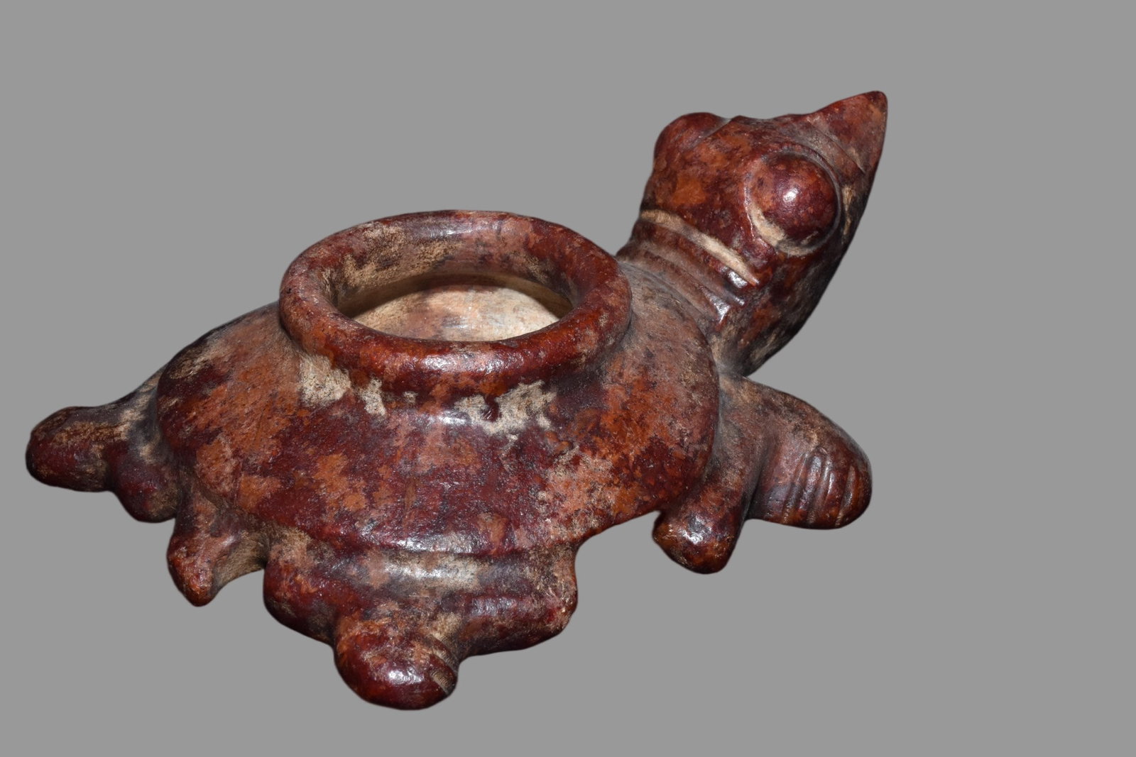 A Exquisite Hemoyu Turtle - 6
