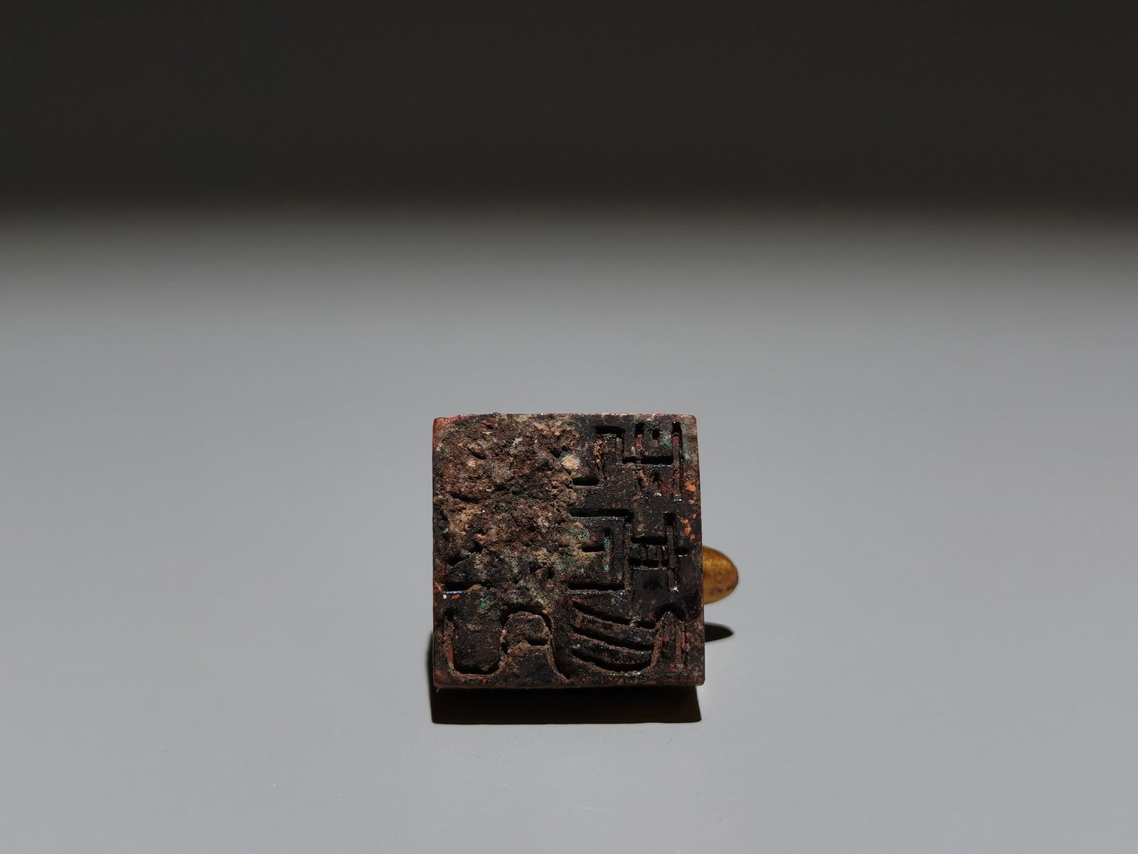 A Exquisite Gilt Bronze Turtle Seal - 9