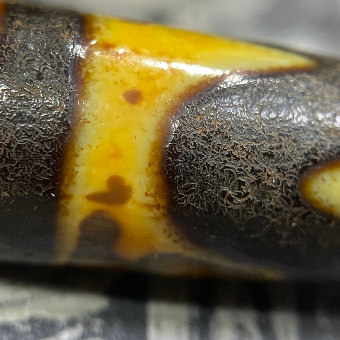 A Exquisite Tiger Tooth Dzi bead - 5