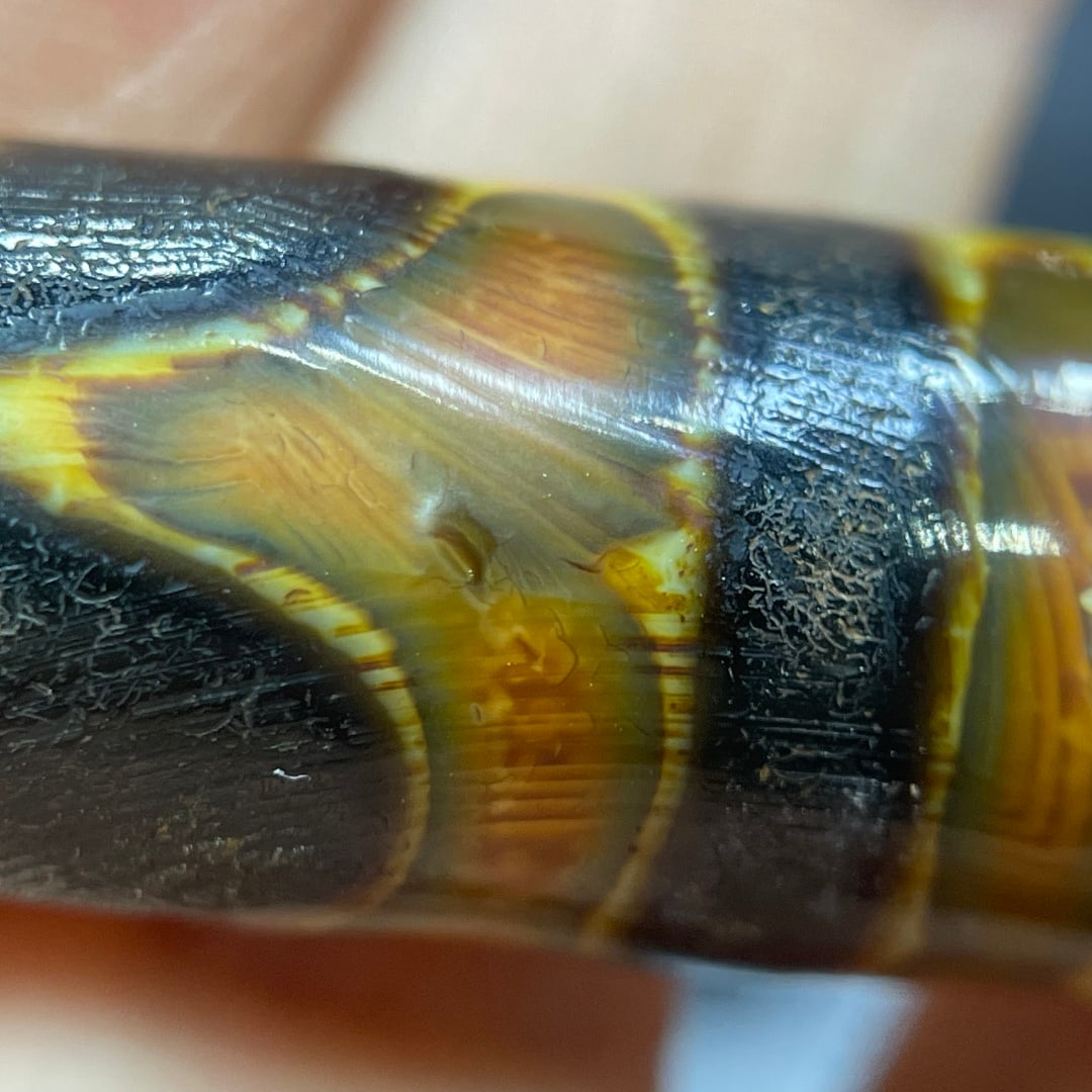 A Exquisite Tiger Tooth Dzi bead - 9