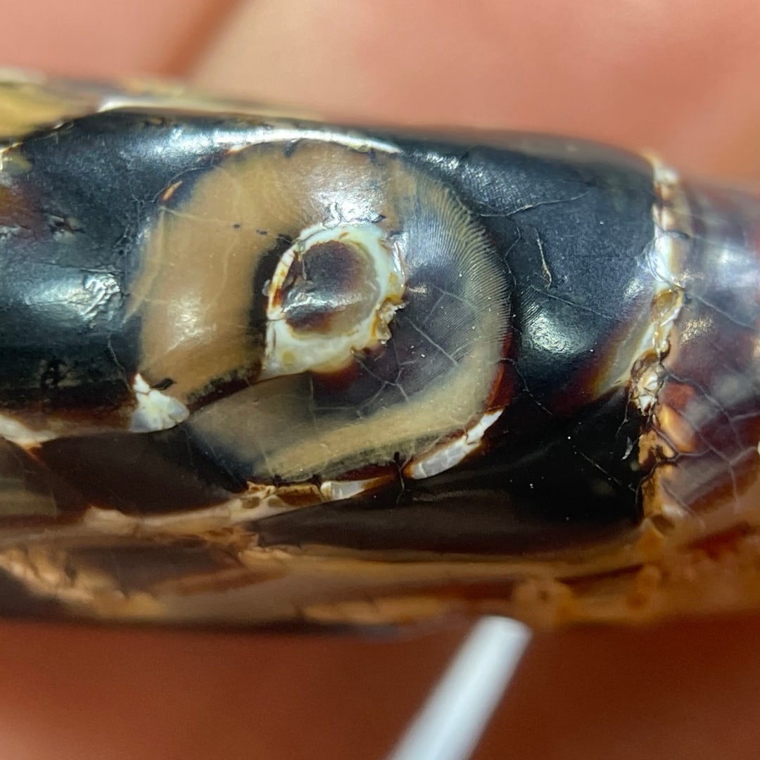 A Exquisite Two Eye Dzi bead - 6