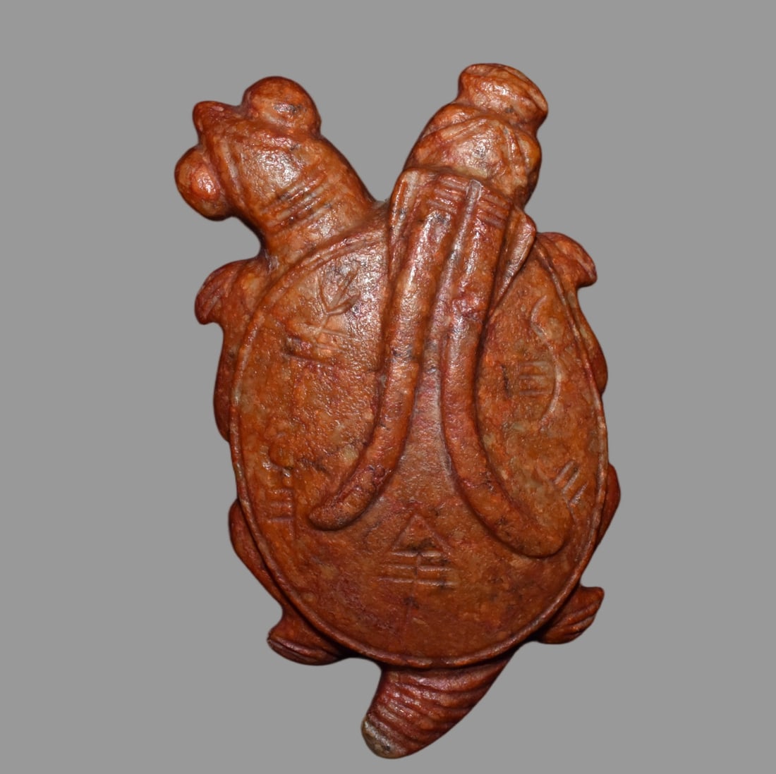 A Exquisite Hemoyu Turtle - 3