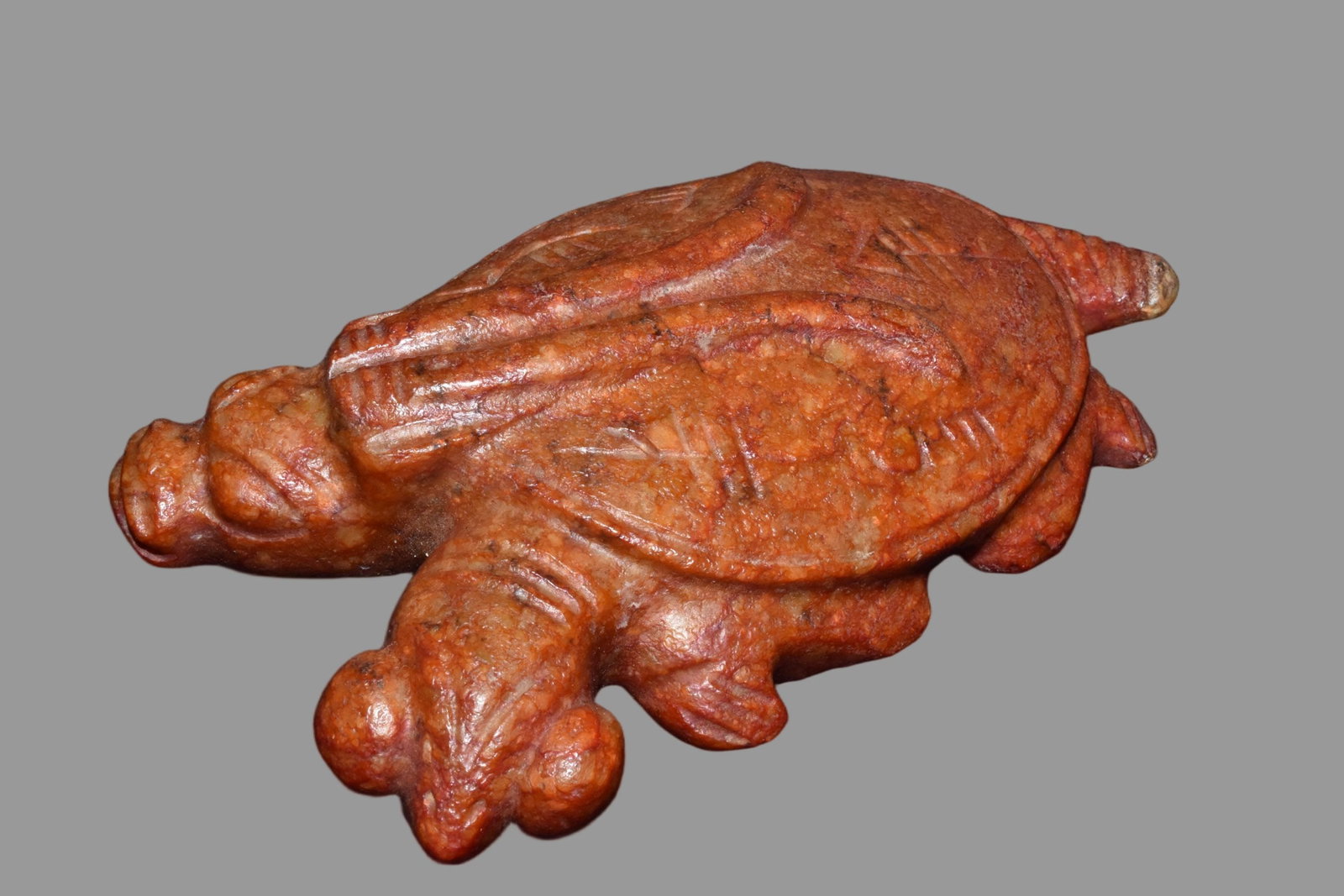A Exquisite Hemoyu Turtle - 4