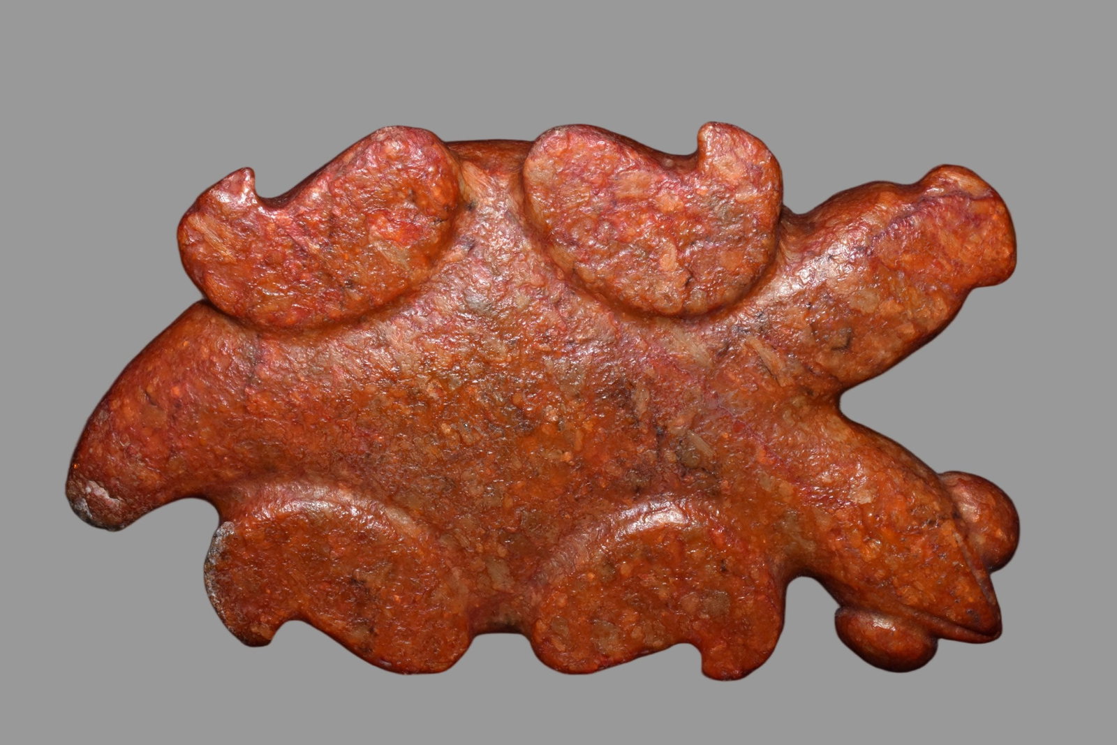 A Exquisite Hemoyu Turtle - 6
