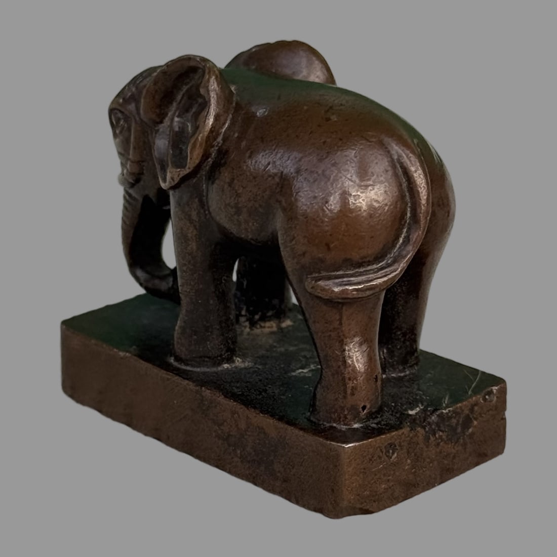 A Exquisite Coppery Elephant Seal - 2