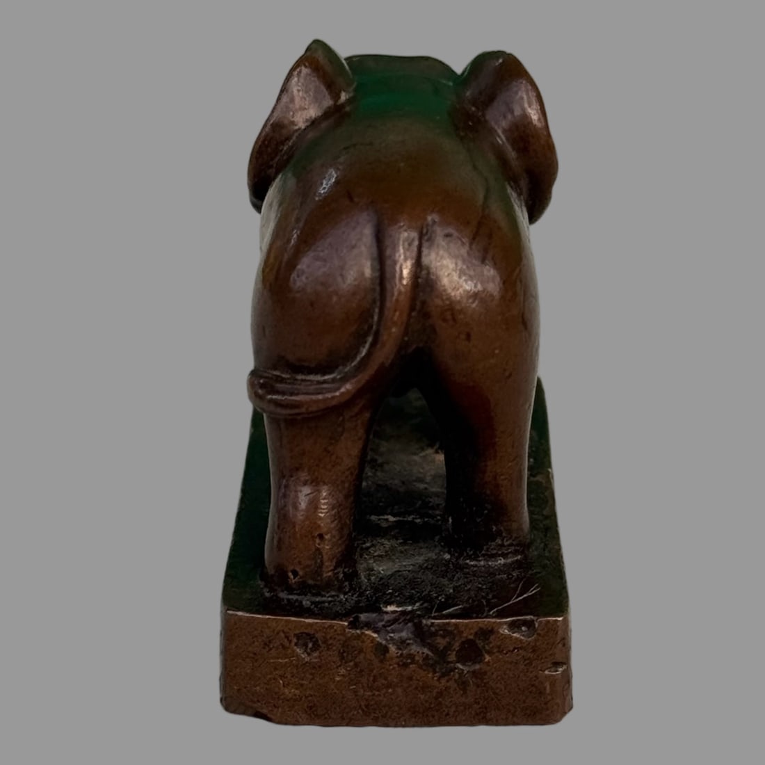 A Exquisite Coppery Elephant Seal - 3