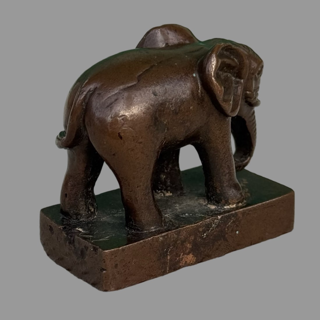 A Exquisite Coppery Elephant Seal - 4