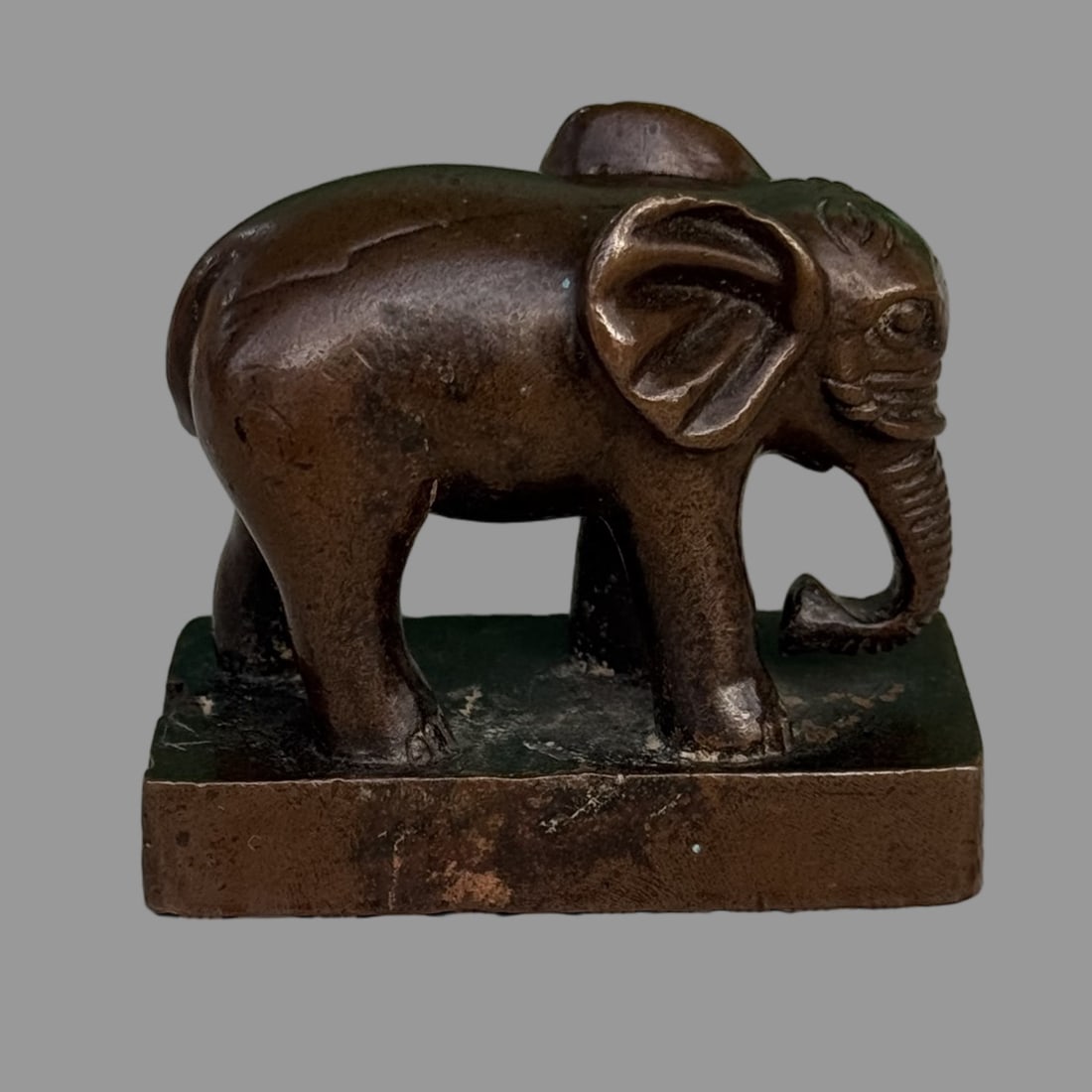 A Exquisite Coppery Elephant Seal - 5
