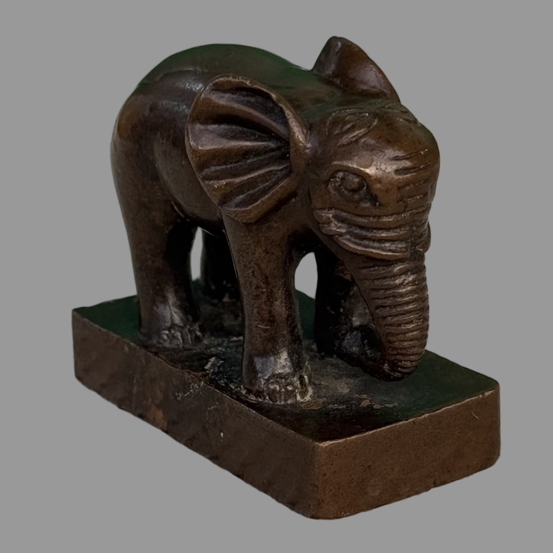 A Exquisite Coppery Elephant Seal - 6