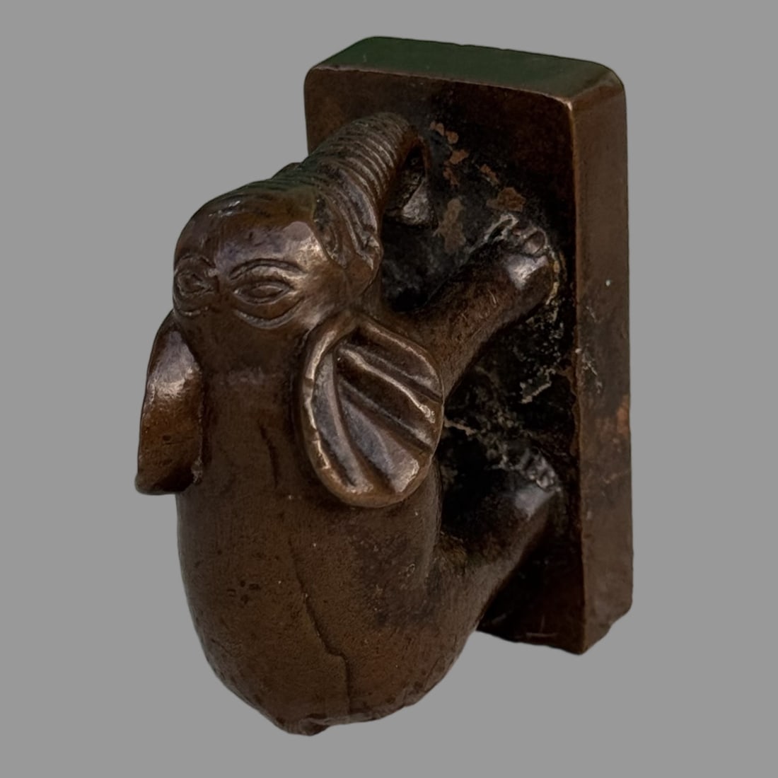 A Exquisite Coppery Elephant Seal - 7
