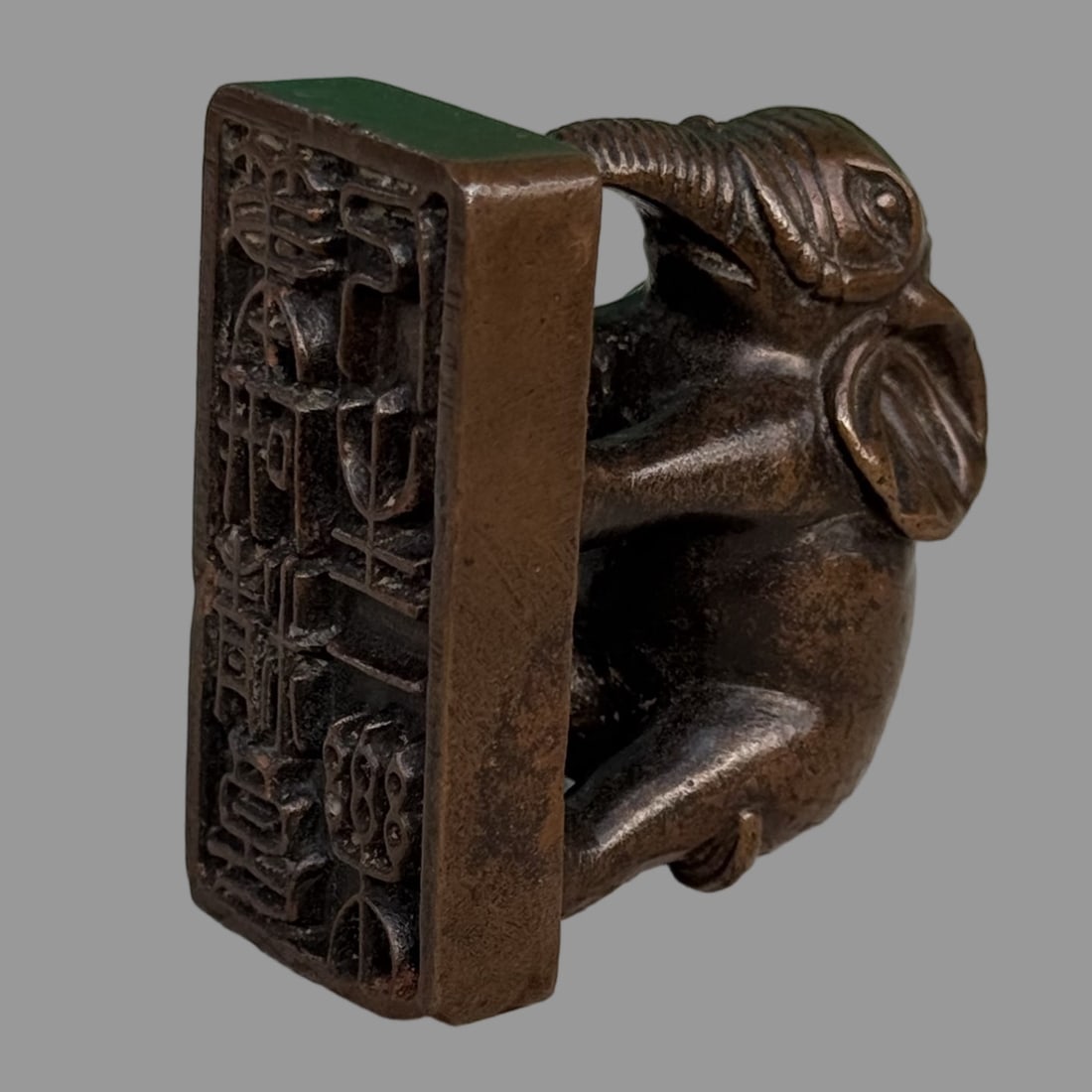 A Exquisite Coppery Elephant Seal - 8