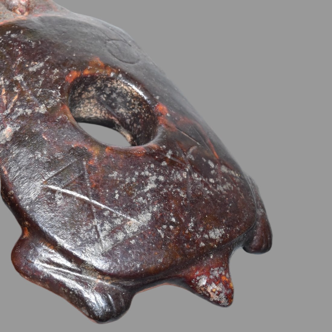 A Exquisite Hemoyu Turtle Ornament - 5