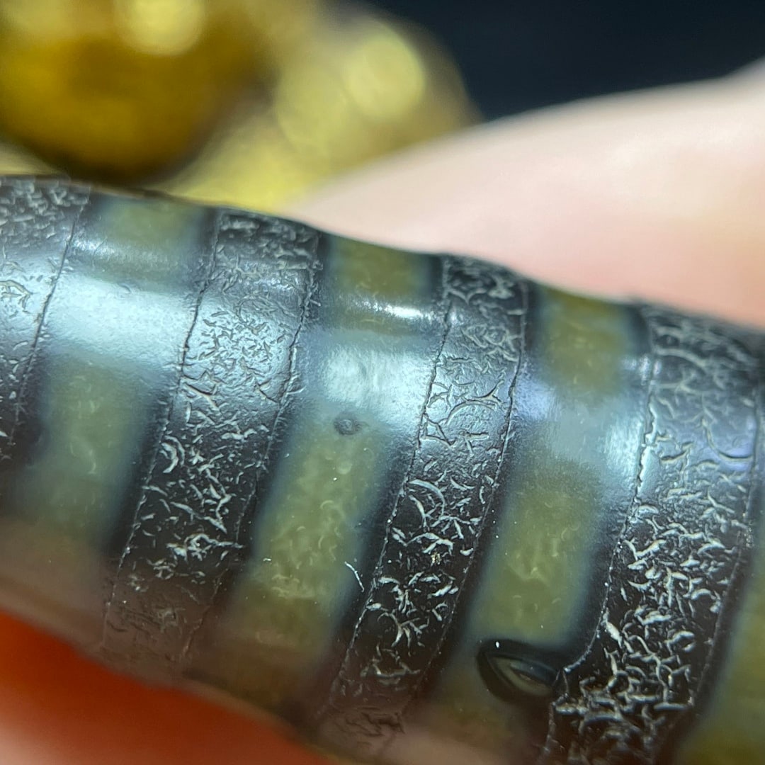 A Exquisite Three Eye Dzi bead - 4