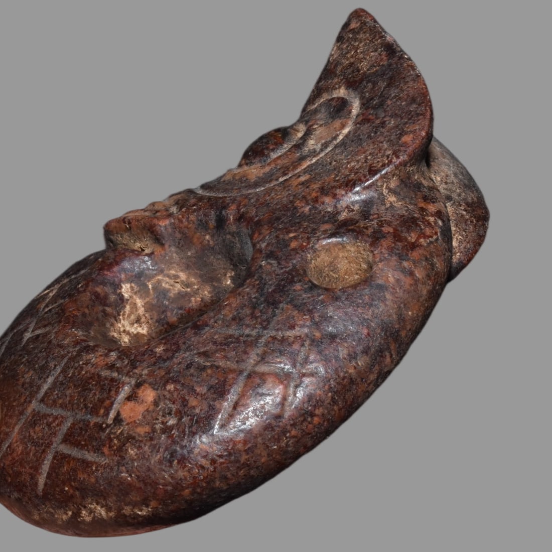 A Exquisite Hemoyu Pig Dragon - 6