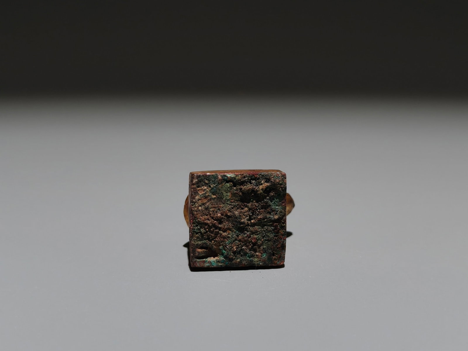A Exquisite Gilt Bronze Turtle Seal - 9