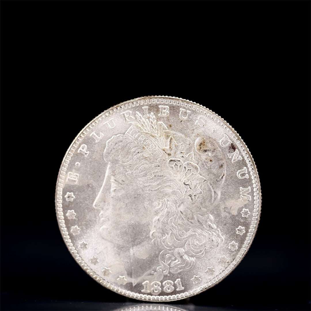USA Morgan Dollar 1881 Coin: Obv: profile bust with date below and E PLURIBUS UNUM legend and stars around. Rev: eagle with In God we trust above within wreath with UNITED STATES OF AMERICA ONE DOLLAR legend. IN GOD WE TRUST /
