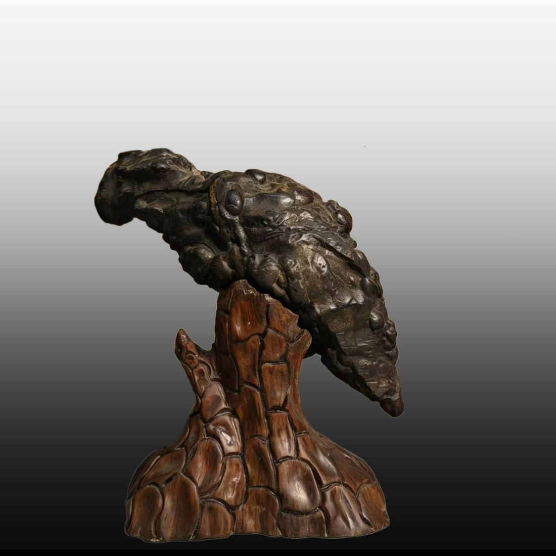 A Exquisite Lingbi Stone Eagle Ornament: A Exquisite Lingbi Stone Eagle Ornament,Qing Dynasty, China,Size:7.1inx3.1inx7.9in,Weight:1585g 灵璧石鹰摆件,中国清代