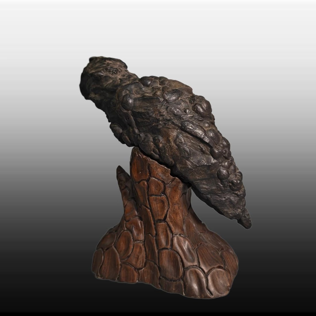 A Exquisite Lingbi Stone Eagle Ornament - 5