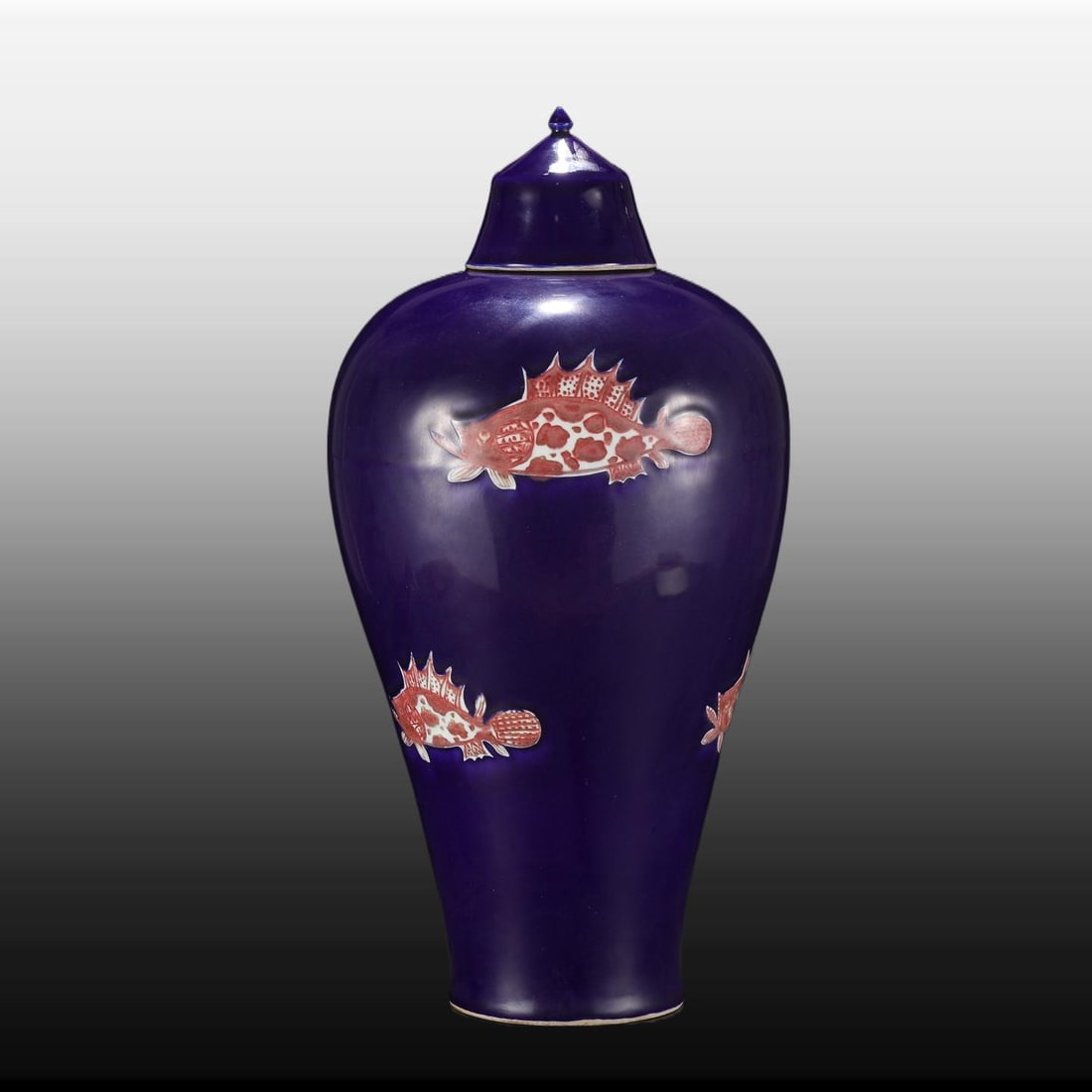 A Exquisite Ji Blue Glazed Fish Pattern Vase - 2