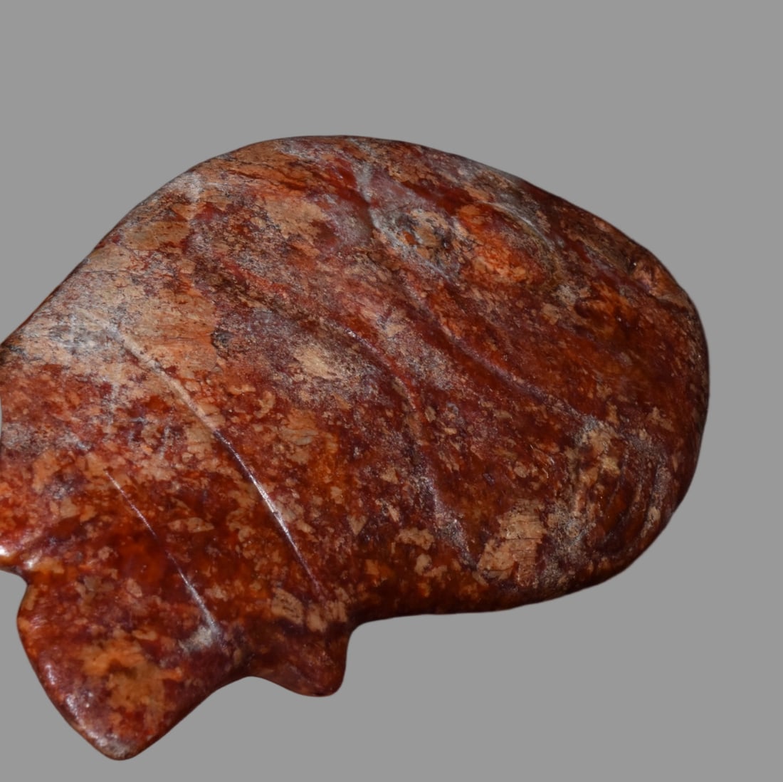 A Exquisite Hemoyu Fish - 3