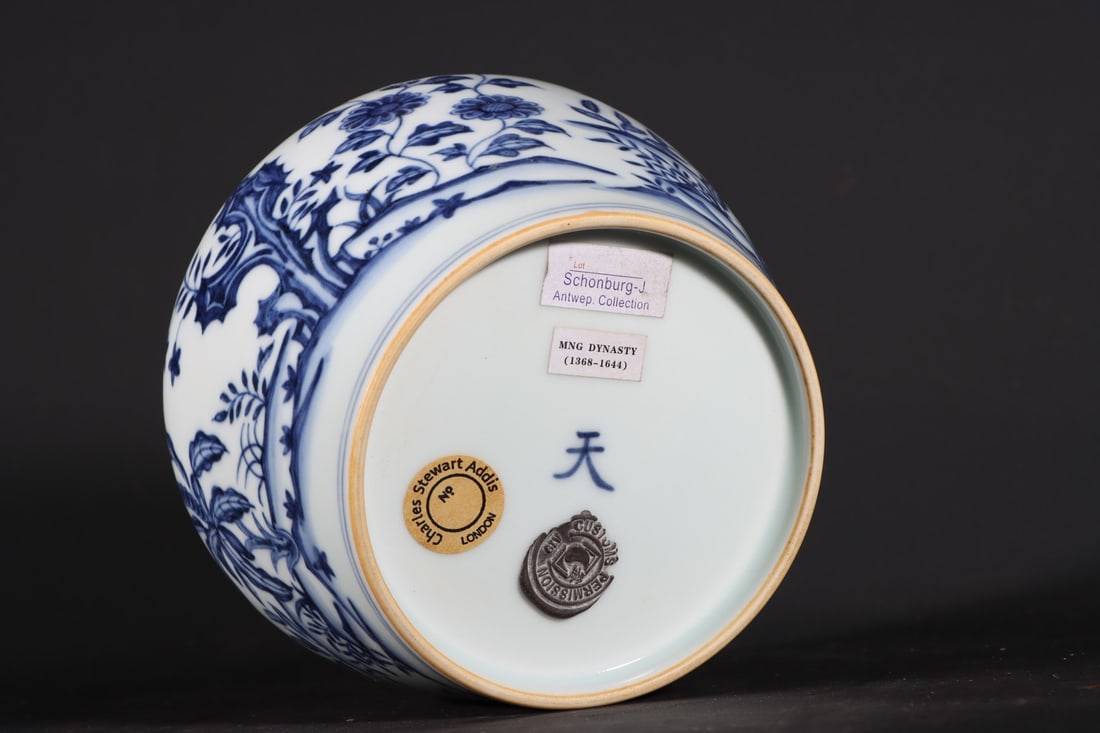 A Exquisite Blue and White Flower Pattern Jar - 9