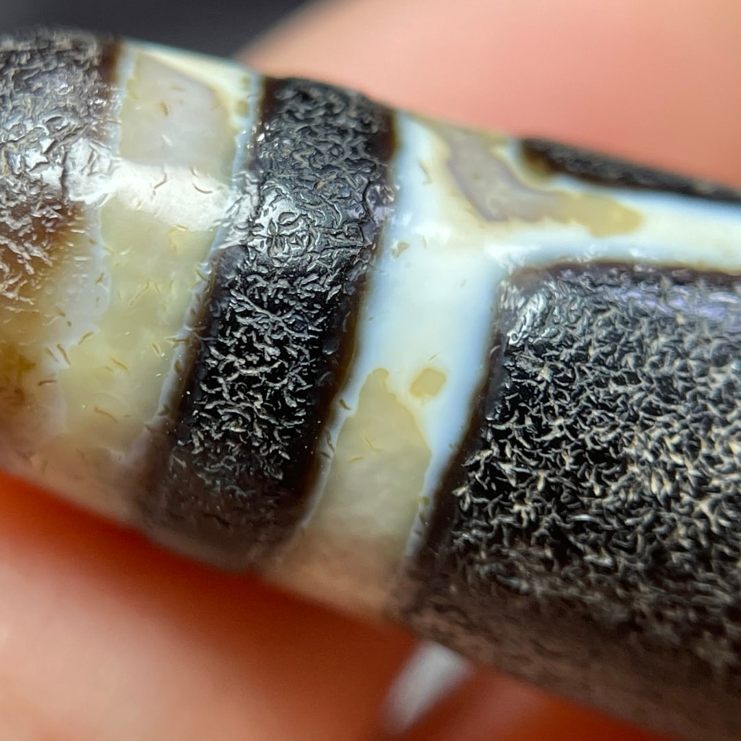 A Exquisite Tiger Tooth Dzi bead - 5