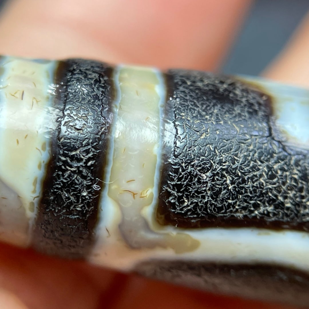 A Exquisite Tiger Tooth Dzi bead - 6