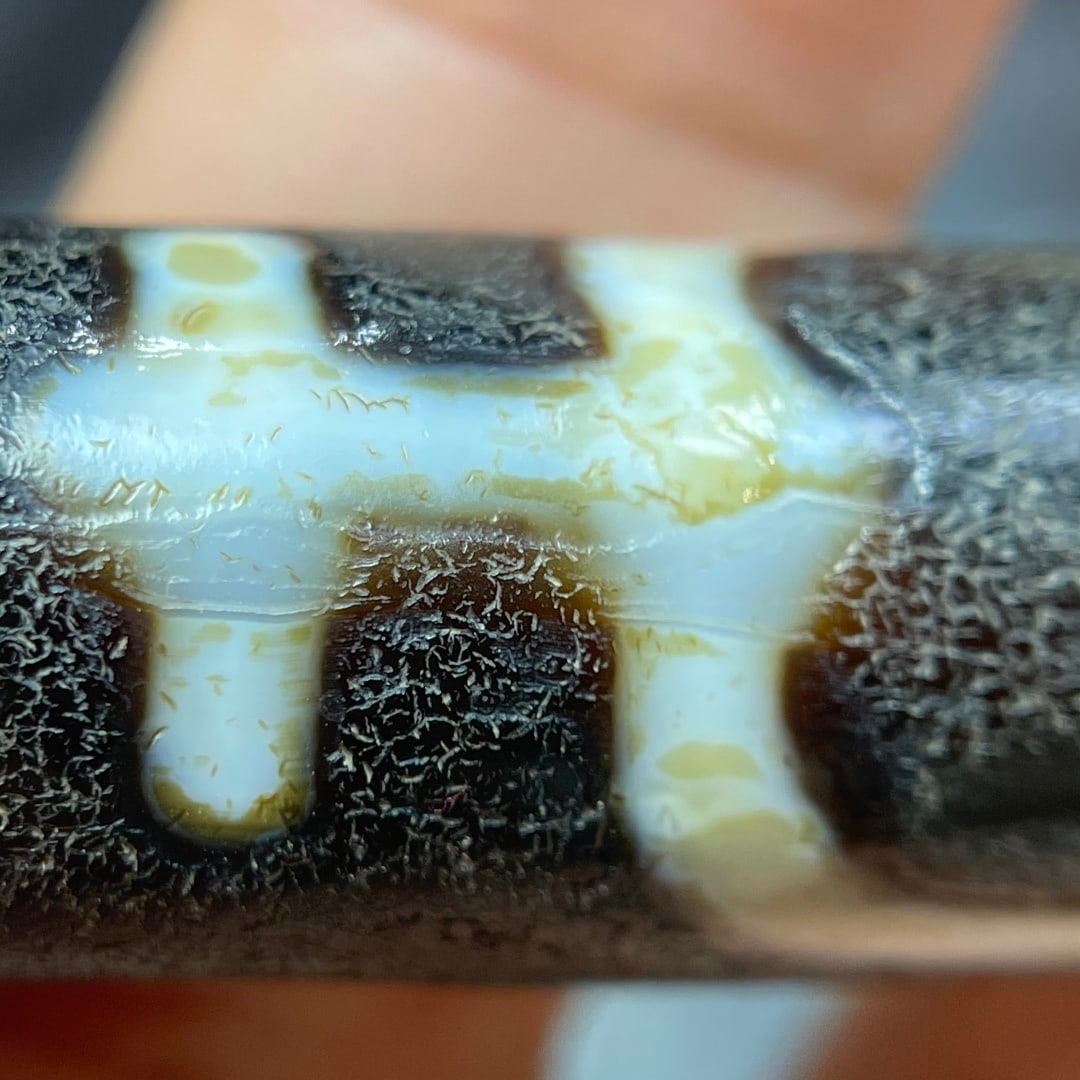 A Exquisite Tiger Tooth Dzi bead - 7