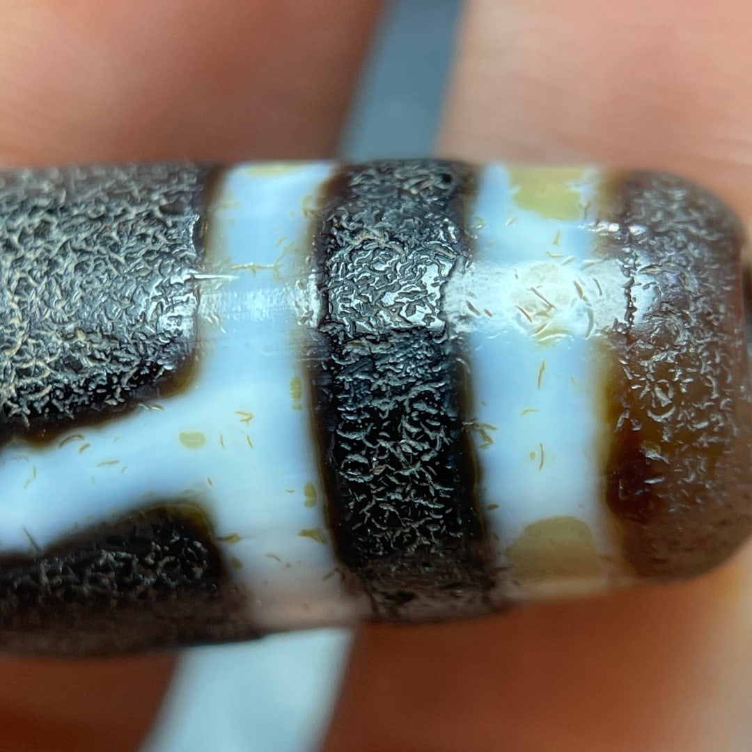 A Exquisite Tiger Tooth Dzi bead - 8