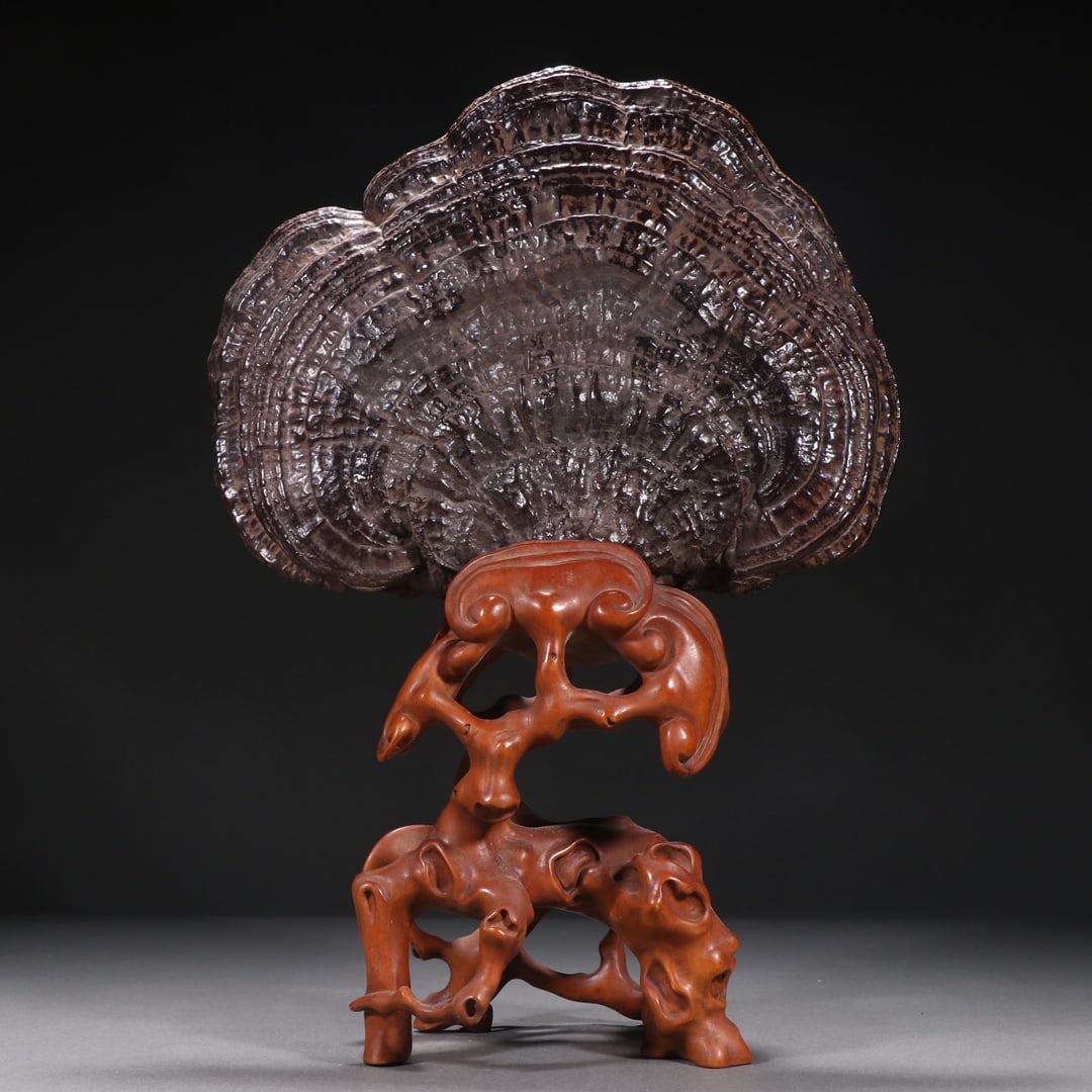 A Exquisite Bamboo Carved Ganoderma lucidum Pattern Ornament: A Exquisite Bamboo Carved Ganoderma lucidum Pattern Ornament,Republic of China,Size:15.4inx9.4in 竹雕灵芝摆件,民国