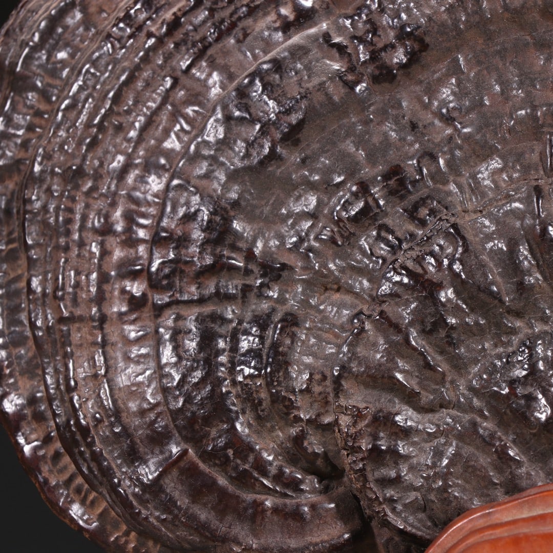 A Exquisite Bamboo Carved Ganoderma lucidum Pattern Ornament - 3
