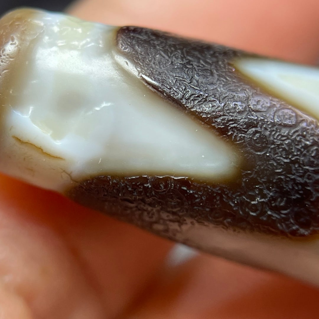A Exquisite Tiger Tooth Dzi bead - 2