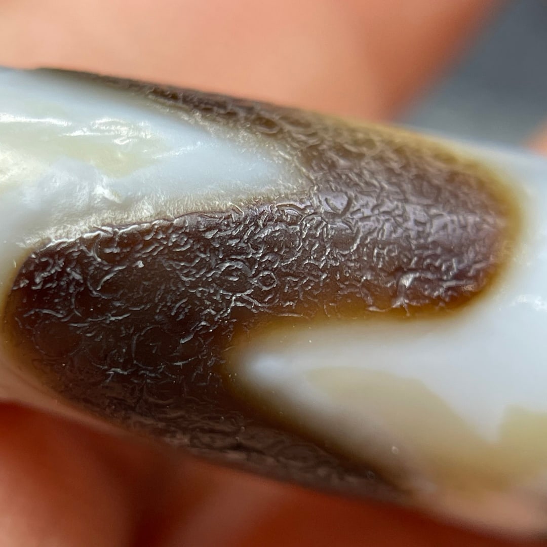 A Exquisite Tiger Tooth Dzi bead - 3