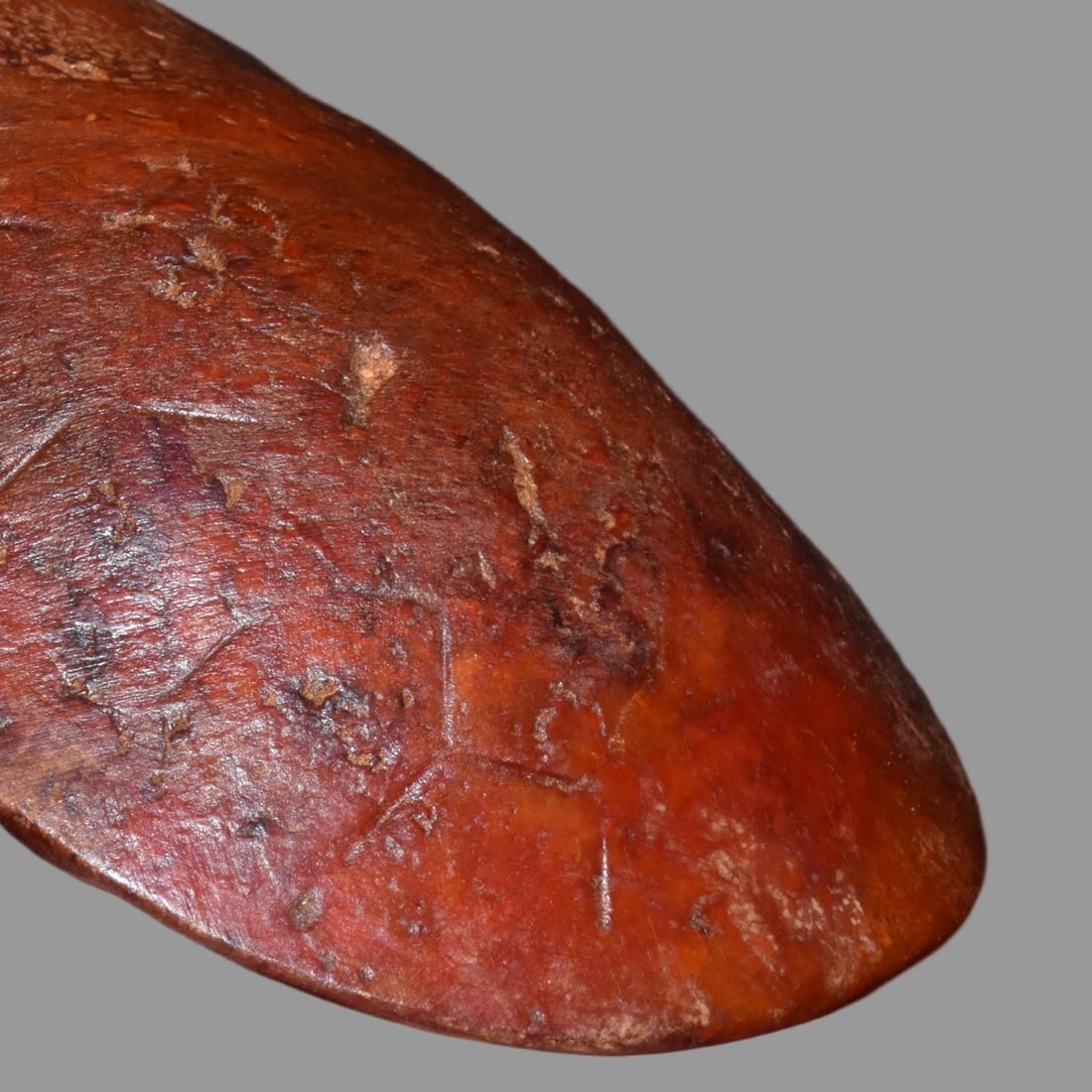 A Exquisite Hemoyu Tortoise Shell - 3