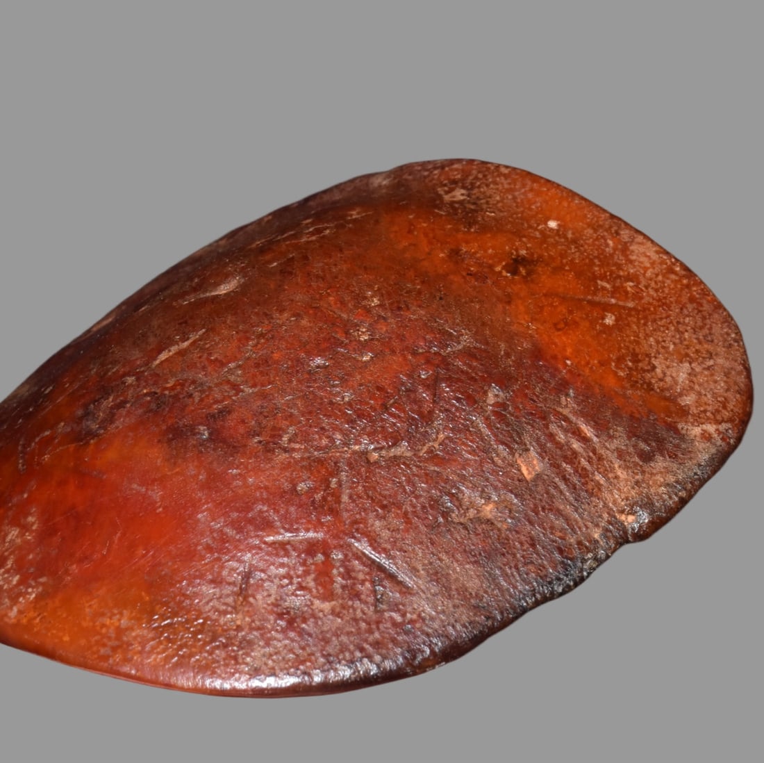 A Exquisite Hemoyu Tortoise Shell - 4
