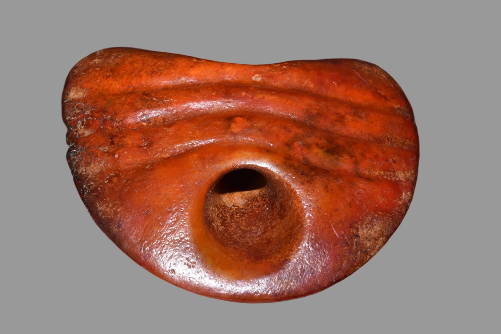 A Exquisite Hemoyu Tortoise Shell - 5