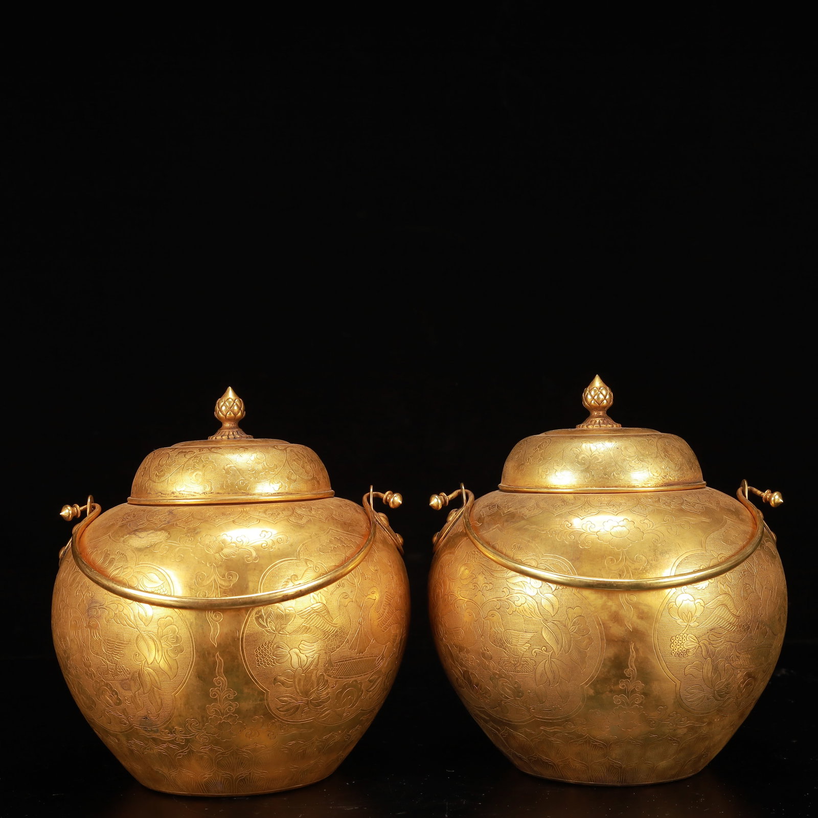 A Pair of Exquisite Gilt Bronze Flower and Bird Pattern Ewers (1 of 16)
