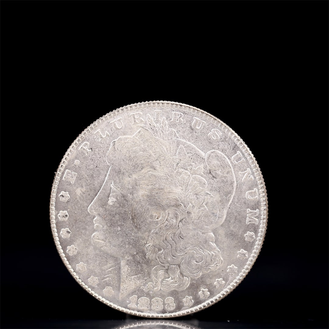 USA Morgan Dollar 1883 Coin: Obv: profile bust with date below and E PLURIBUS UNUM legend and stars around. Rev: eagle with In God we trust above within wreath with UNITED STATES OF AMERICA ONE DOLLAR legend. IN GOD WE TRUST / LI