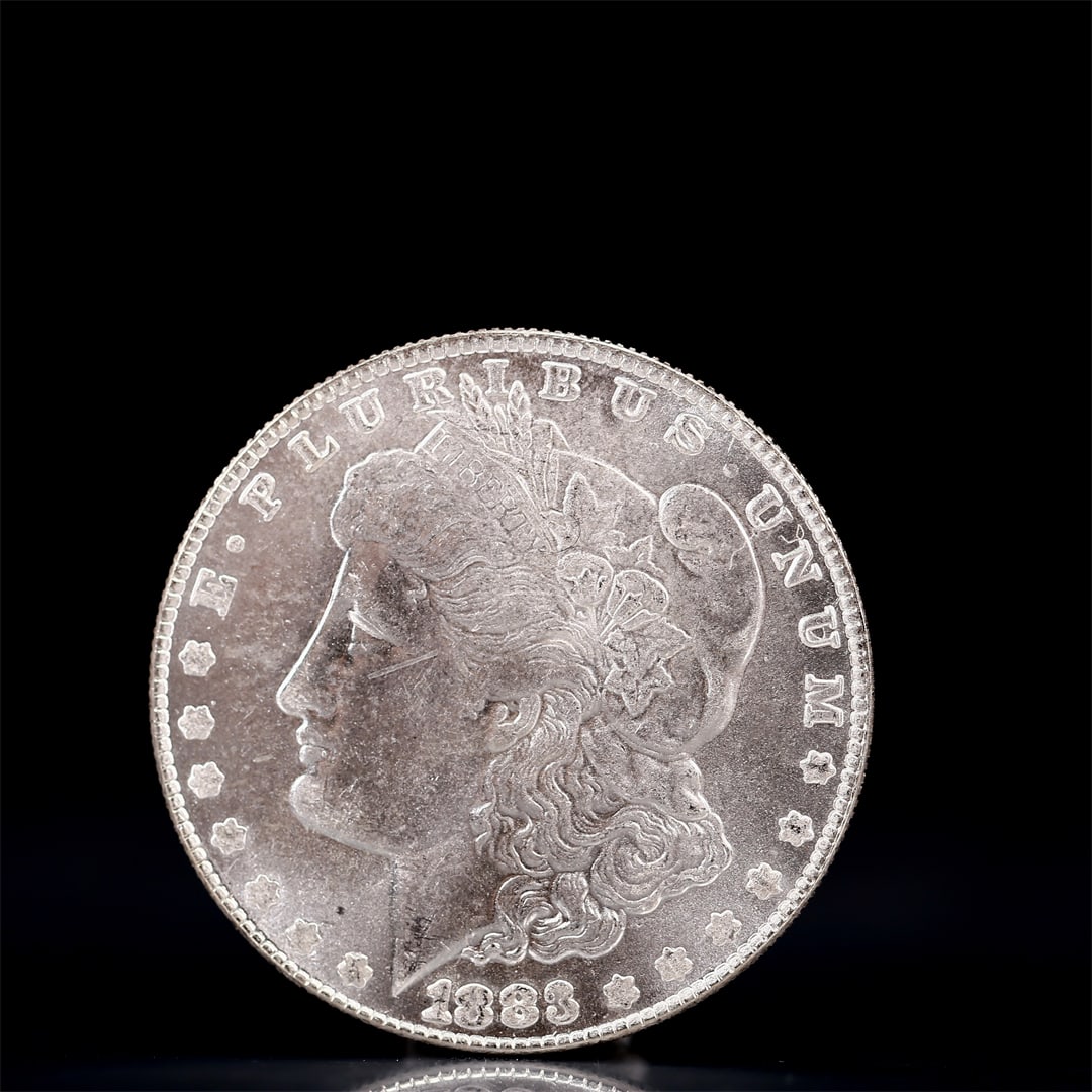 USA Morgan Dollar 1883 Coin: Obv: profile bust with date below and E PLURIBUS UNUM legend and stars around. Rev: eagle with In God we trust above within wreath with UNITED STATES OF AMERICA ONE DOLLAR legend. IN GOD WE TRUST / LI
