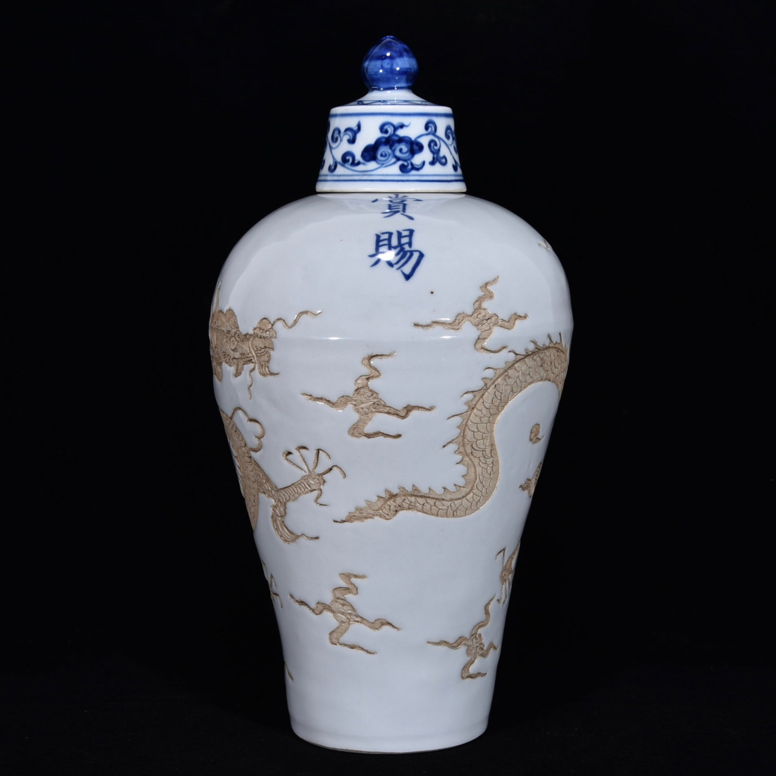 An Exquisite Blue and White Dragon Pattern Lotus Pattern Vase: An Exquisite Blue and White Dragon Pattern Lotus Pattern Vase Ming Dynasty, China Size:15inx7.5in甜白青花暗刻龙纹赏赐梅瓶