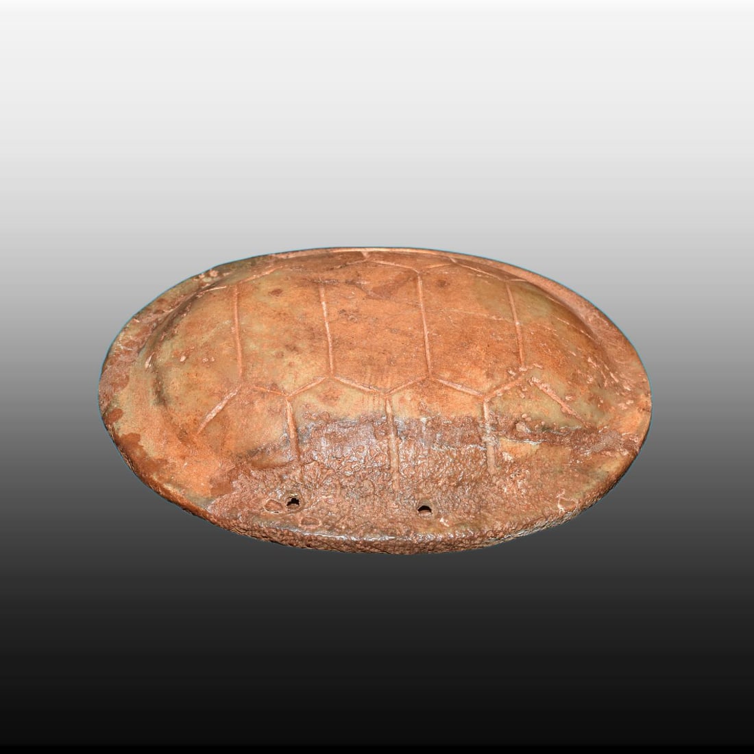 A Exquisite River Polished Jade Tortoise Shell: A Exquisite River Polished Jade Tortoise Shell,Ancient Time, China,Size:9.1inx6.9in,Weight:1010g 河磨玉龟甲,远古时期