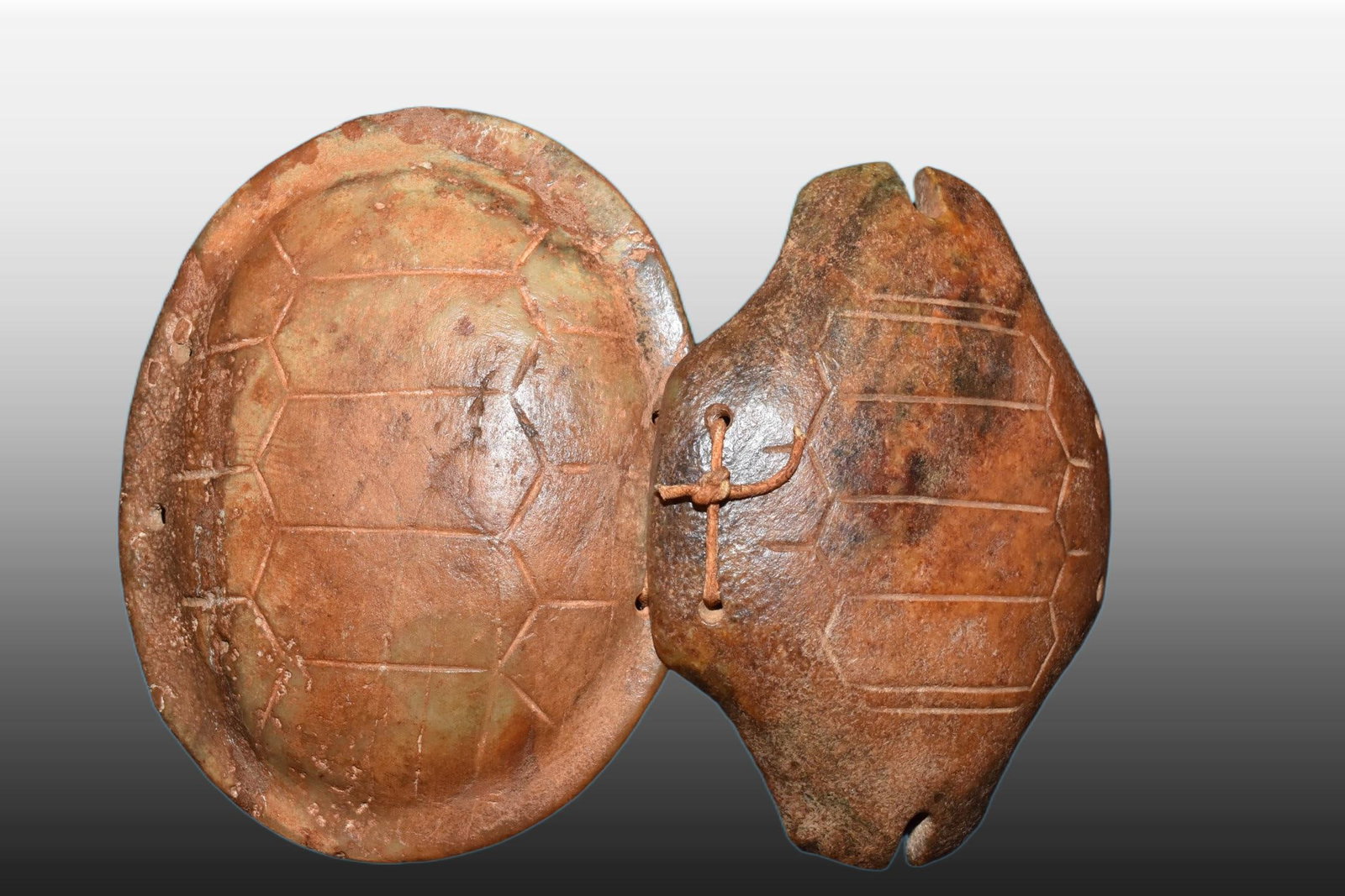 A Exquisite River Polished Jade Tortoise Shell - 5