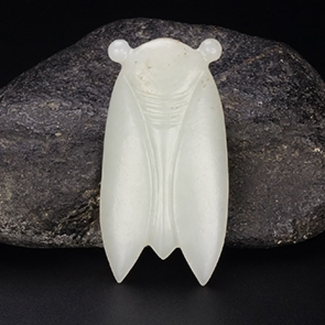 A Exquisite Hotan Jade Cicada: A Exquisite Hotan Jade Cicada,Han Dynasty, China,Size:2.4inx1.2inx0.2in ,Weight:23.4g 和田玉蝉,中国汉代