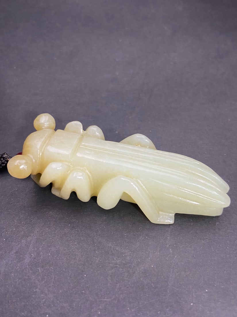 An Exquisite White Jade Cicada Pendant: An Exquisite White Jade Cicada Pendant Qing Dynasty, China Size:76mmx30mmx21mm Weight:74g白玉飞黄腾达升官发财挂件 中ࢲ