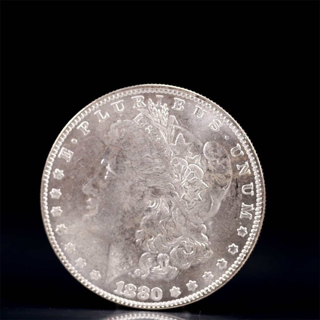 USA Morgan Dollar 1880 Coin: Obv: profile bust with date below and E PLURIBUS UNUM legend and stars around. Rev: eagle with In God we trust above within wreath with UNITED STATES OF AMERICA ONE DOLLAR legend. IN GOD WE TRUST / LI
