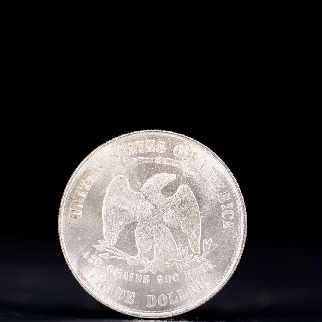 USA Trade Dollar 1875 Coin - 2