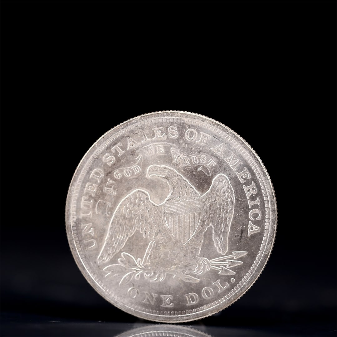 USA One Dollar 1869 Coin - 2