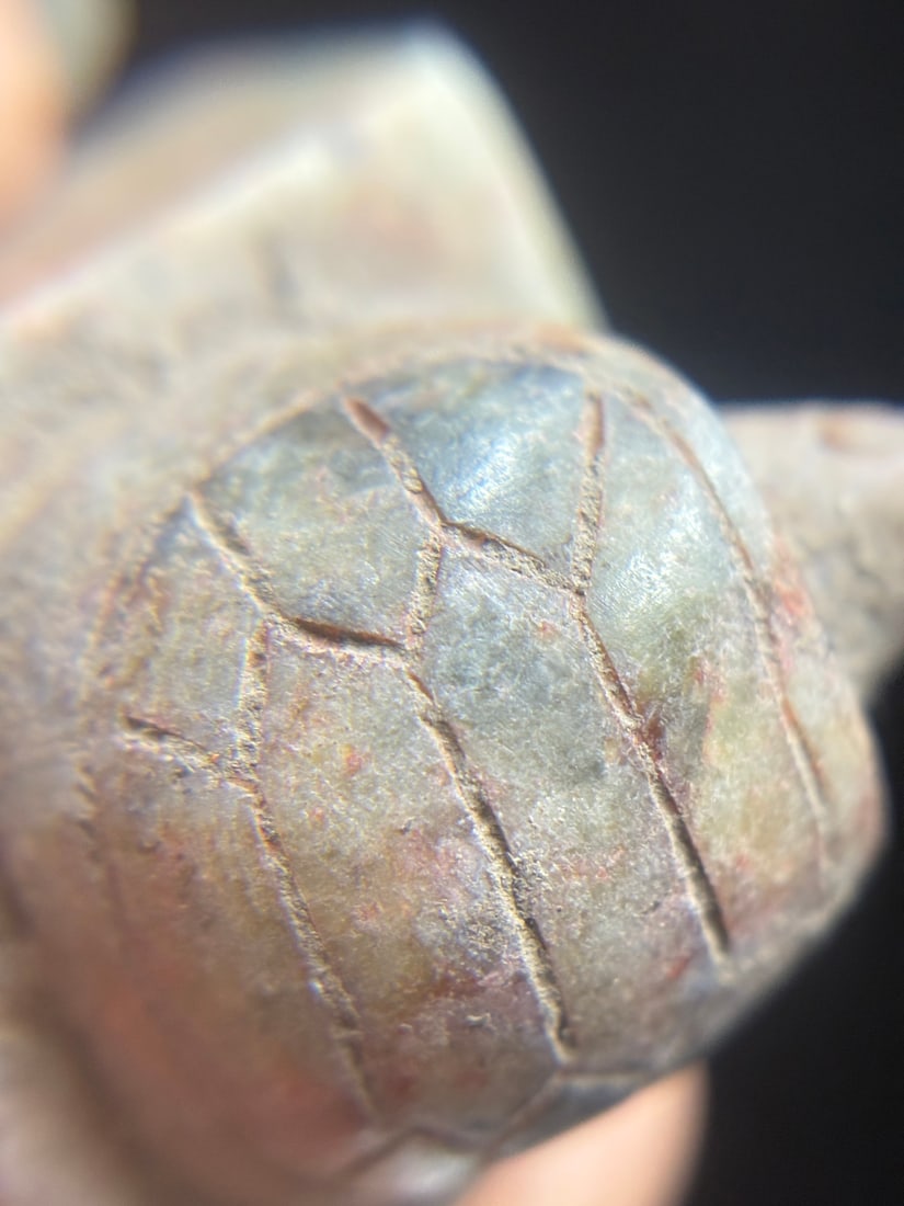An Exquisite White Jade Turtle Seal - 7